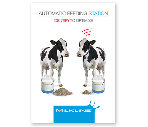 Automatic feeding station
